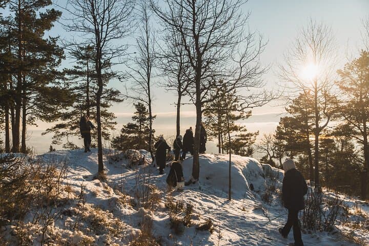 Oslofjord Winter Hike to Vettakollen: Best View of Oslo (4-Hour Guided Walk) photo 5