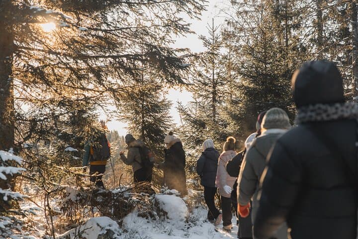 Oslofjord Winter Hike to Vettakollen: Best View of Oslo (4-Hour Guided Walk) photo 6