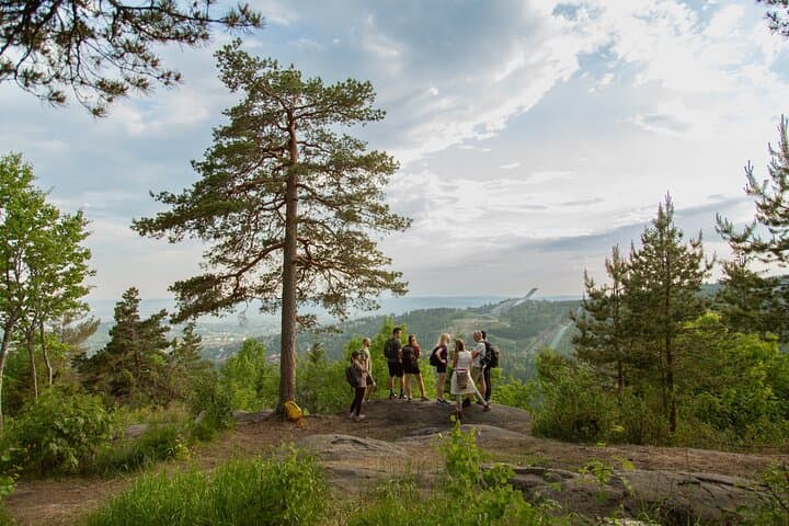 Vettakollen Summit Hike: Best Oslofjord View & Trail Guide photo 3