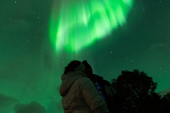 Tromsø Northern Lights Bus Tour: 7-Hour Guided Aurora Chase with Photos & Hot Drinks photo 3