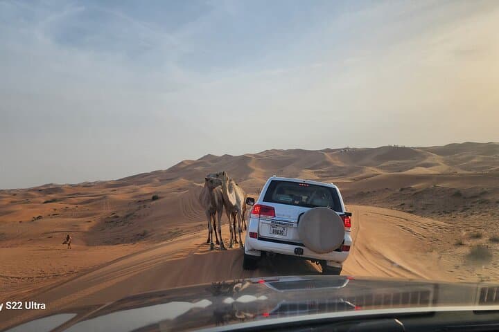 Dubai Red Dunes 4x4 Safari, BBQ & Live Entertainment photo 6