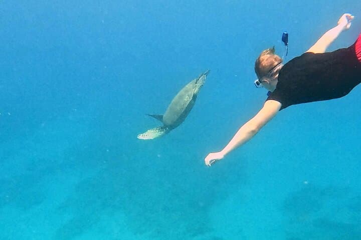 Kona Snorkeling Adventure Open Charter: 4.5-Hour Kona Coast Reef Trip photo 2