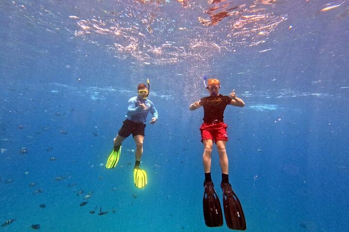 Kona Snorkeling Adventure Open Charter: 4.5-Hour Kona Coast Reef Trip photo 4