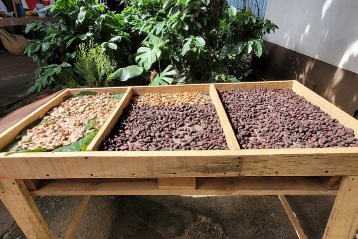 Hands-On Coffee & Chocolate Tour in Playas del Coco: Roaster Visit & Tastings photo 3
