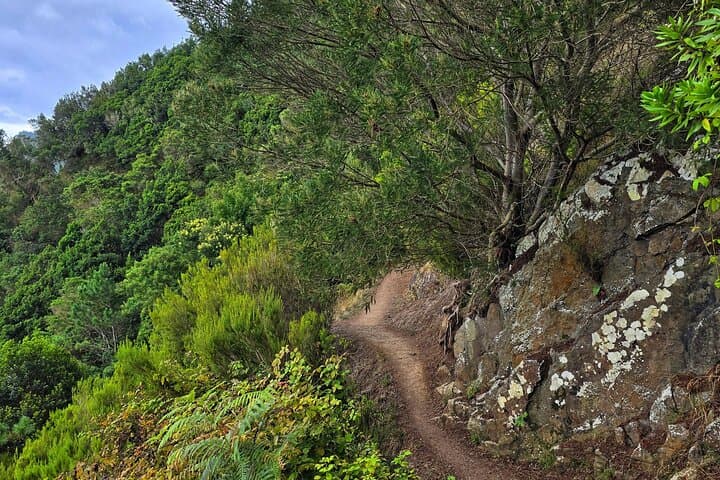 Vereda do Larano & Boca do Risco Private Coastal Hike — Madeira’s Eastern Cliffs photo 3