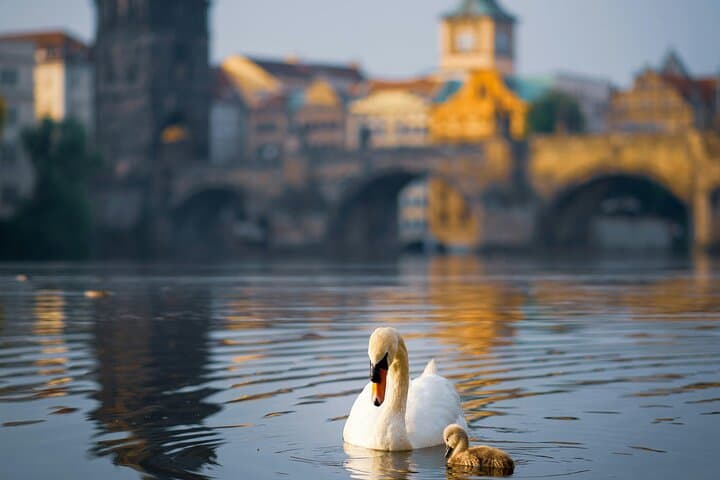 Charles Bridge Professional Photoshoot: Capture Prague’s Gothic Skyline photo 6