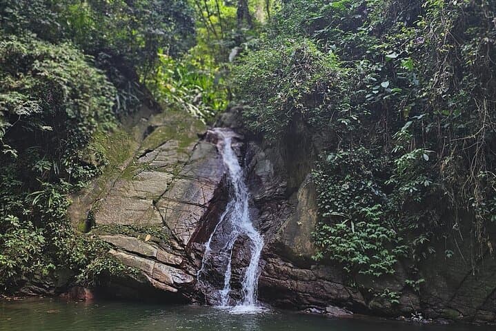 Chasing Waterfalls Experience in Tobago: Rainforest Hikes & Natural Pools photo 3
