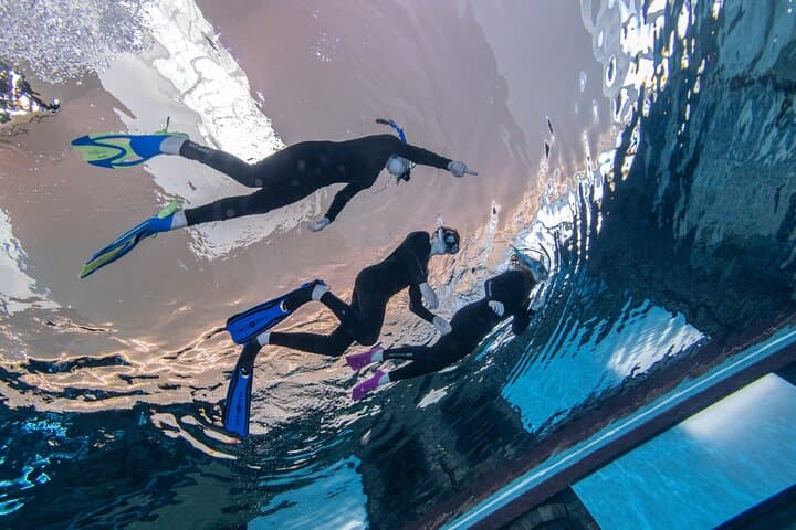 Discover Snorkelling at Deep Dive Dubai: Explore the Sunken City photo 4