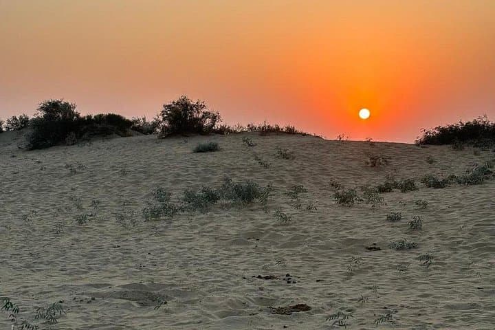 Shiva's 3-Day Thar Desert Camel Safari: Stars, Sand Dunes & Rajasthani Camp Life photo 2