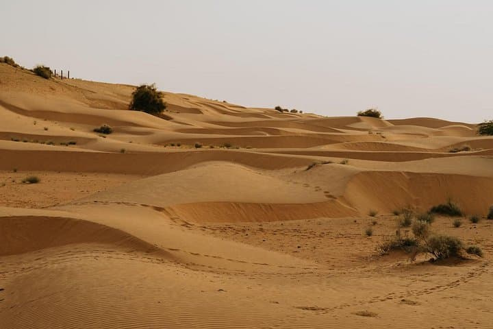 Shiva's 3-Day Thar Desert Camel Safari: Stars, Sand Dunes & Rajasthani Camp Life photo 4