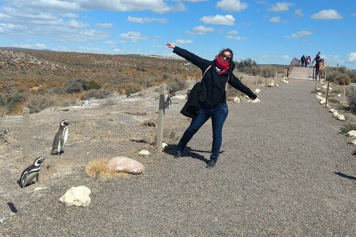 Punta Tombo Penguin Walk: Full-Day Wildlife Tour from Puerto Madryn photo 6
