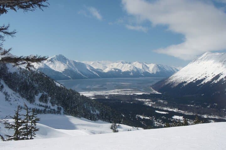 Turnagain Arm Winter Scenic Tour: Alyeska Tram, Beluga Point & Wildlife Viewing