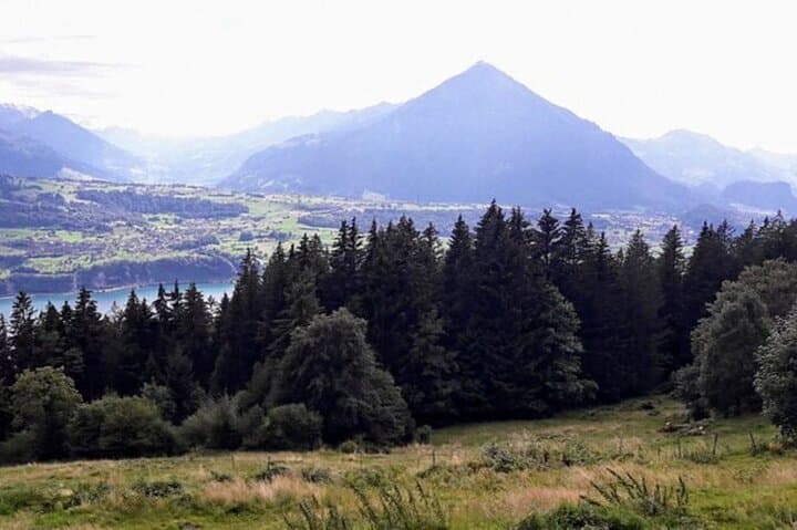 Lake Thun & Sigriswil Private Tour — Beatenberg, Hangbridge and Thun Highlights photo 6