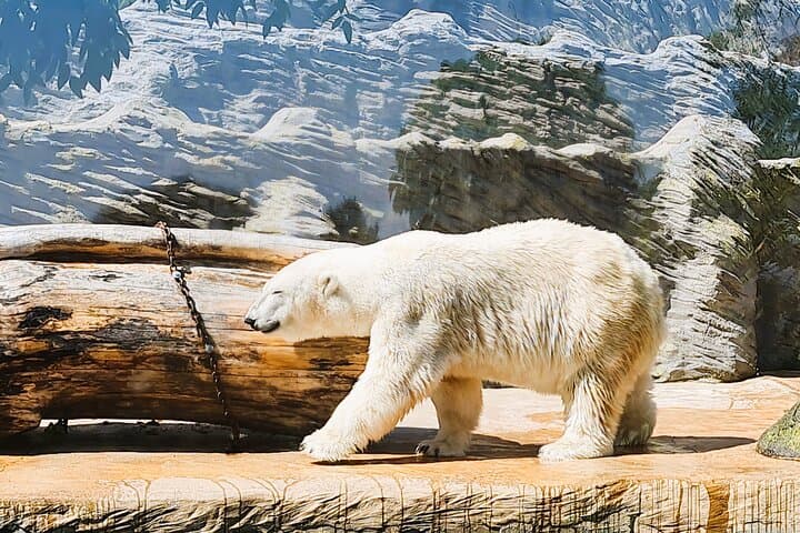 Prague Zoo Admission with Transfer and Multilingual Audio Guide photo 3