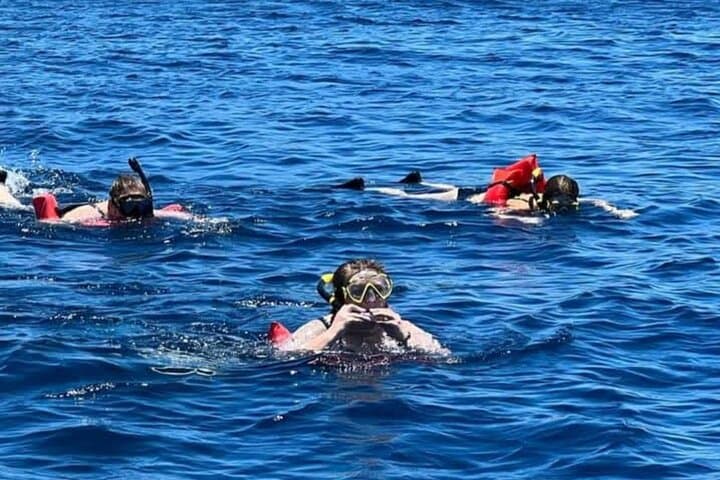 Roatan Snorkeling Adventure — West Bay Reef & Sloth & Monkey Beach Break photo 4
