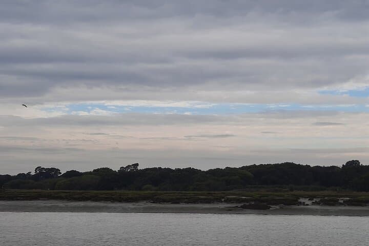 Sunset River Cruise on the Beaulieu River — New Forest Evening Boat Trip photo 5