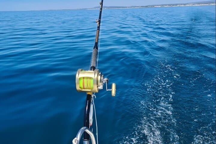 Catamaran Excursion to Tavira Island — Ria Formosa Day Cruise photo 5