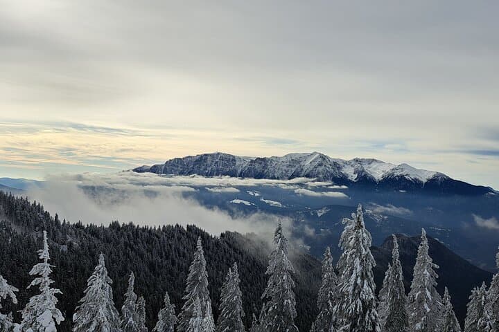 Ski Lessons in Poiana Brașov — Private 2-Hour Instruction on Postăvaru photo 4