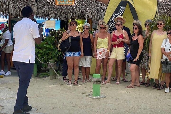 Negril Seven Mile Beach & Rick's Cafe Cliff-Jumping Tour from Montego Bay