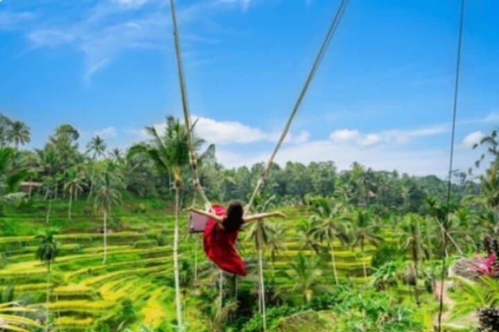 Ubud Day Tour: Waterfall, Temple, Rice Terraces & Monkey Forest Explained photo 3