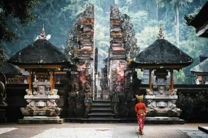 Ubud Day Tour: Waterfall, Temple, Rice Terraces & Monkey Forest Explained photo 6