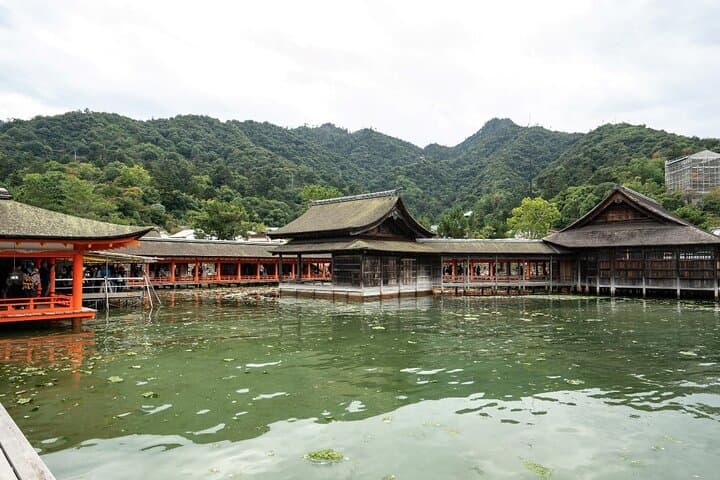 Miyajima Island Day Tour: From Floating Torii to Mount Misen Summit photo 3