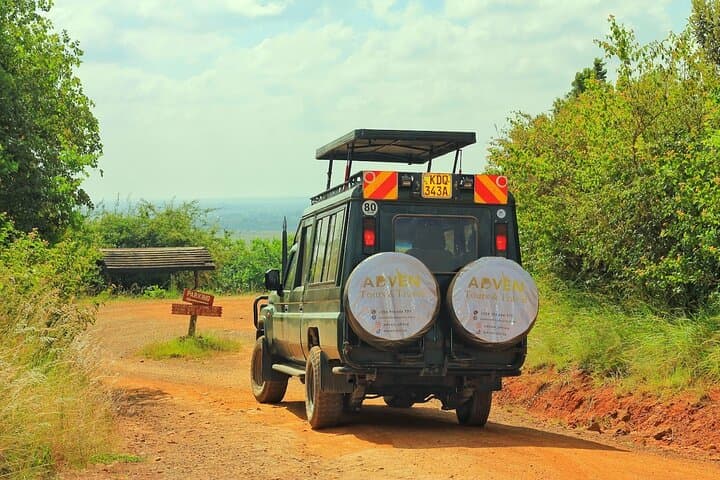 Nairobi Full Day Excursion: Wildlife, Culture, and Conservation in One Adventure photo 3