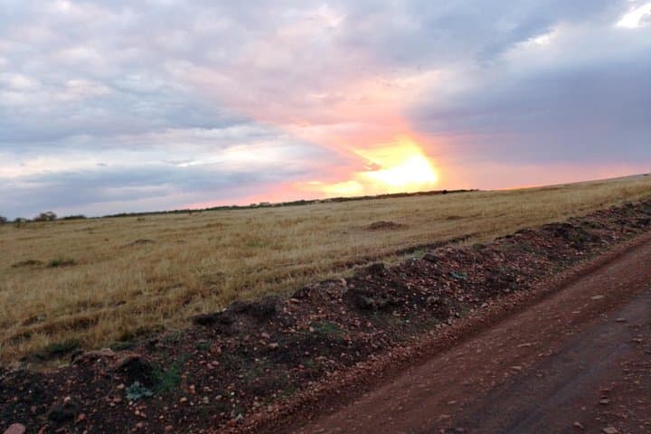 3-Day Meru National Park Safari: Wildlife, Riverine Forests & Nyambene Views photo 2