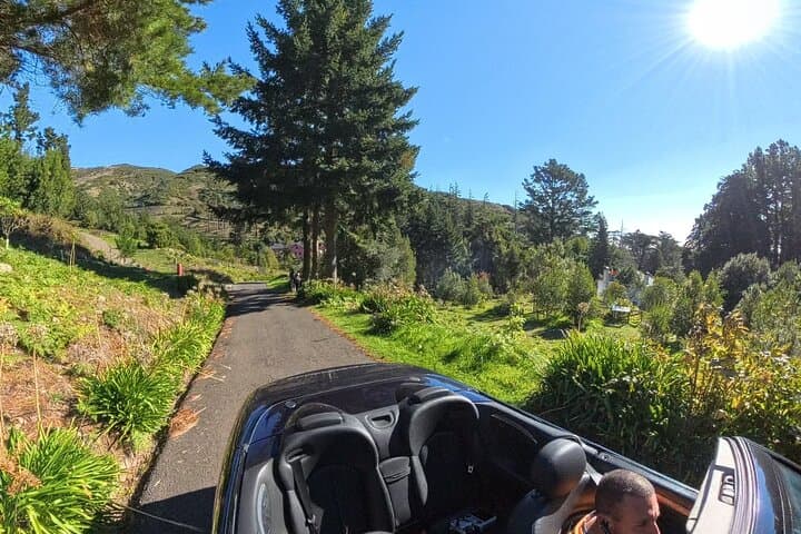 Funchal Cabriolet Scenic Drive: Mountains, Viewpoints & Gardens