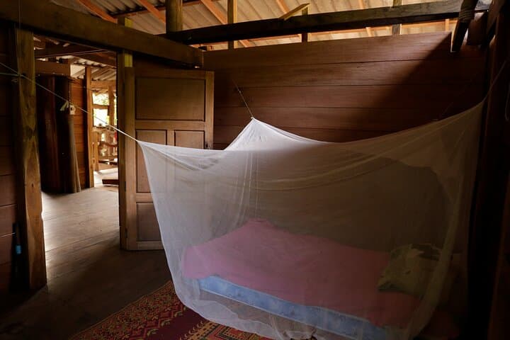 2-Day Gibbon Conservation & Karen Village Homestay near Doi Inthanon photo 6