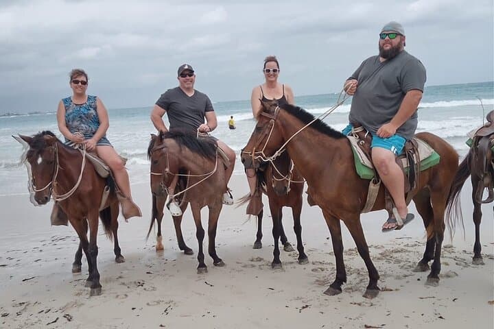 Explore Macao Beach on Horseback: A Caribbean Adventure photo 4