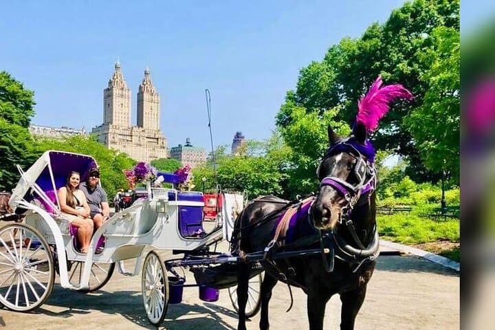 Central Park Pedicab Tour — Flexible Sightseeing and Personalized Routes