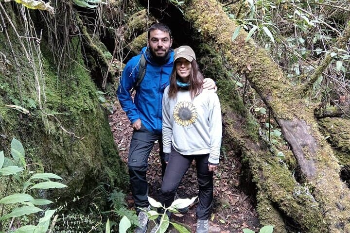 Hiking Cuajimoloyas: Sierra Norte Villages & Pine-Forest Trails photo 2