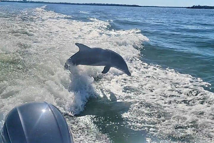 Private Cayo Costa Power Boat to Cabbage Key — Shelling, Beaches & Dolphins photo 3