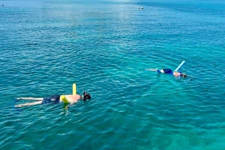 Private Key West Sandbar and Snorkeling Charter — Half-Day for 6 photo 3