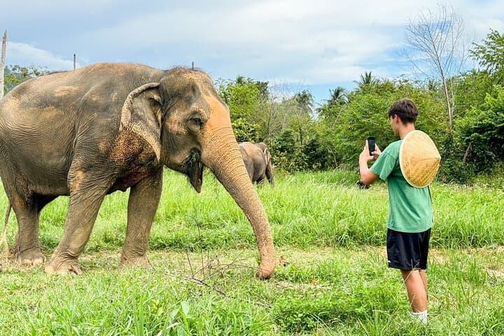 Half-Day Elephant Home Sanctuary Experience in Koh Samui Jungle photo 5