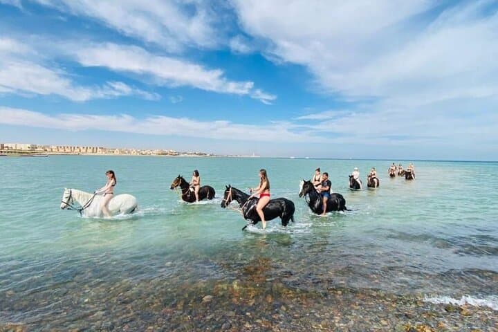 Hurghada Horseback & Camel Ride: Desert Dunes to Seashore in 2 Hours
