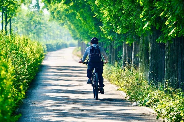 E-Bike Nervia Valley & Dolceacqua: Full-Day Tour from Ventimiglia photo 4