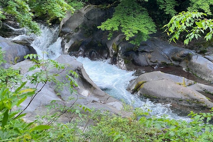 Nikko Walking Tour: Toshogu Shrine & Kanmangafuchi Abyss — A 5km Cultural Hike photo 2