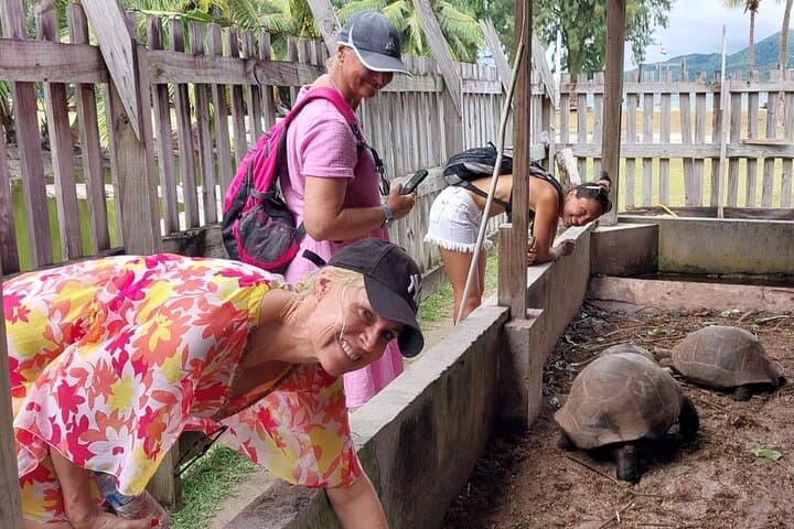 Half-Day Curieuse & St Pierre Island Cruise — Giant Tortoises, Mangroves and Snorkeling
