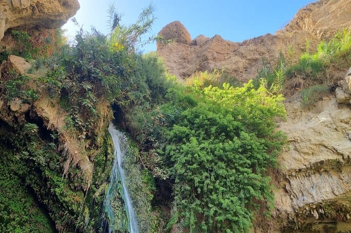 Dead Sea Day Trip with GaryTheGuide: Masada, Ein Gedi & Qumran photo 5