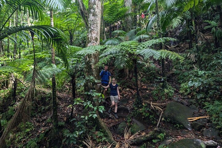 Mount Liamuiga Trek — St Kitts Volcano Caldera Hike photo 3