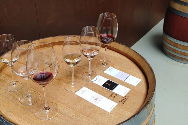 Chianti Winery & Brolio Castle Private Tour from Florence photo 2