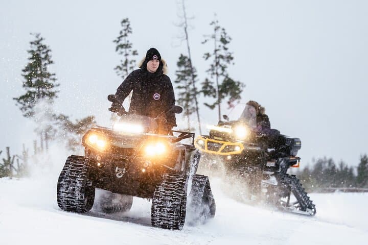 Snowmobile Safari and Glass Igloo Lunch in Rovaniemi: Winter Wilderness Experience