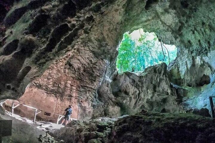 Los Haitises National Park Day Trip from Punta Cana — Mangroves, Taino Caves & Wildlife photo 3