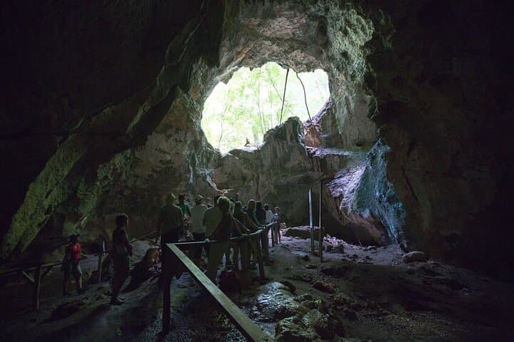 Los Haitises National Park Day Trip from Punta Cana — Mangroves, Taino Caves & Wildlife photo 6