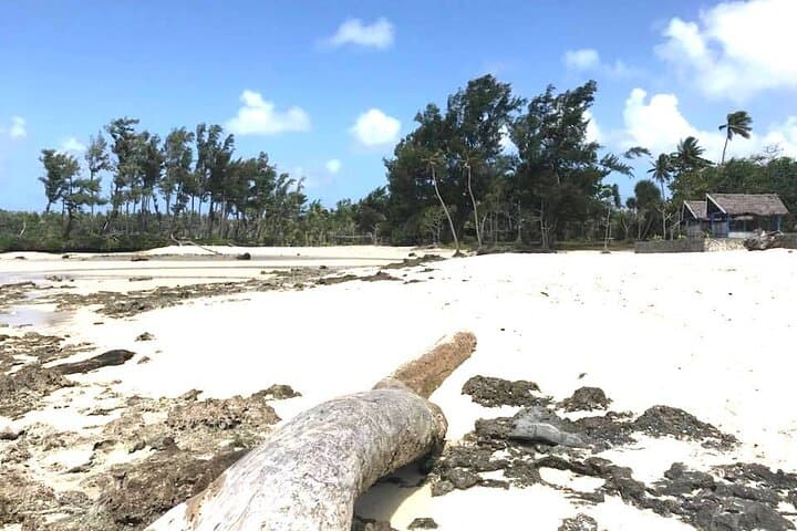 Tropical Splash Tour: Snorkel, Waterfalls & Blue Lagoon on Efate photo 3