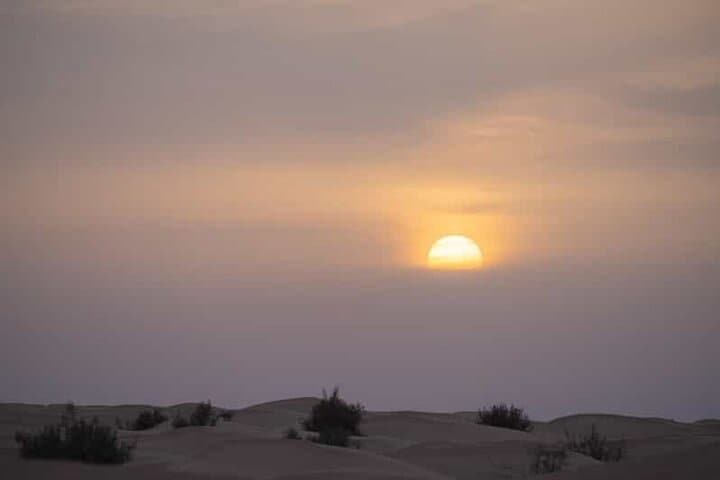 Two-Day Sahara Escape from Djerba: Starry Skies, Camel Treks & Oasis Baths photo 5