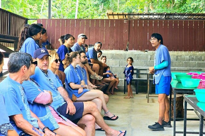 Hands-On Elephant Care in Koh Samui: Half-Day Oasis Experience photo 2