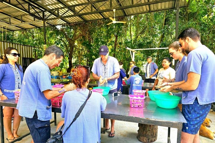 Hands-On Elephant Care in Koh Samui: Half-Day Oasis Experience photo 3